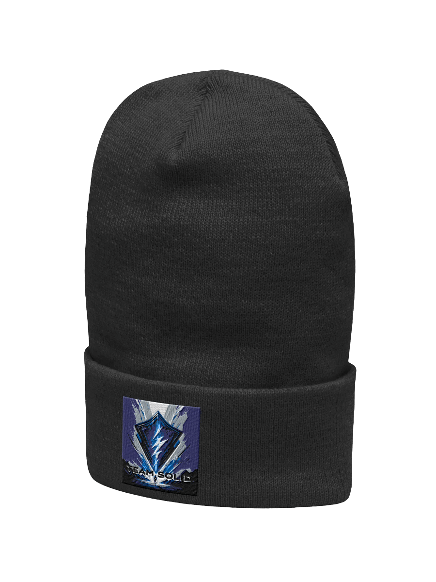 TEAMSOLID Electric Shield Cuffed Beanie product image (4)