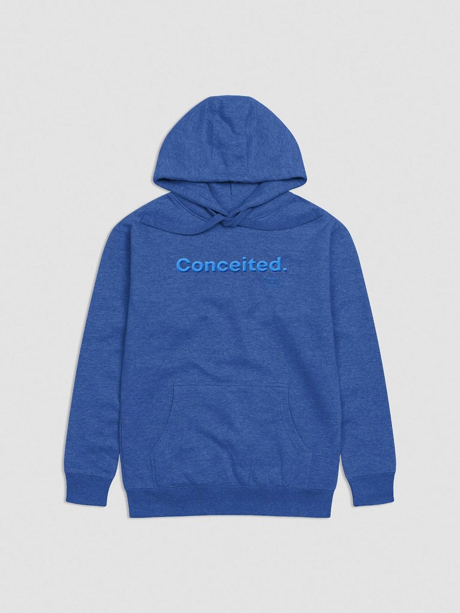 Concieted Embroidered Hoodie F&E1 product image (2)