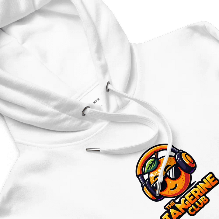 TTC ECO-FRIENDLY PREMIUM HOODIE Version #2 product image (1)