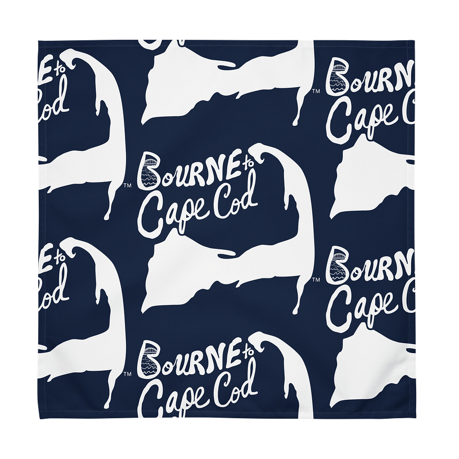 🌀BOURNE to Cape Cod™ | Cloth Napkin Set (4) | Coastal Dining Essentials | White Logo Repeat on Navy Blue product image (7)