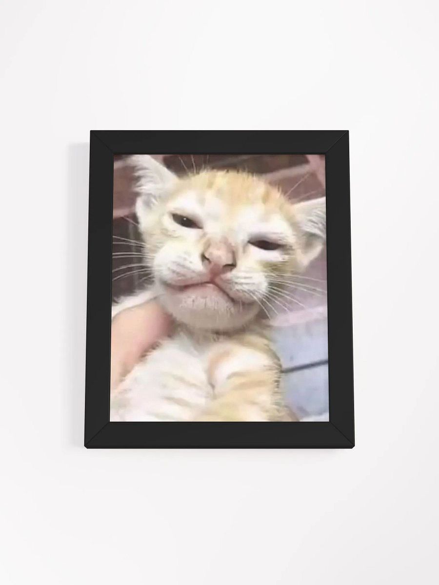 Cat product image (6)