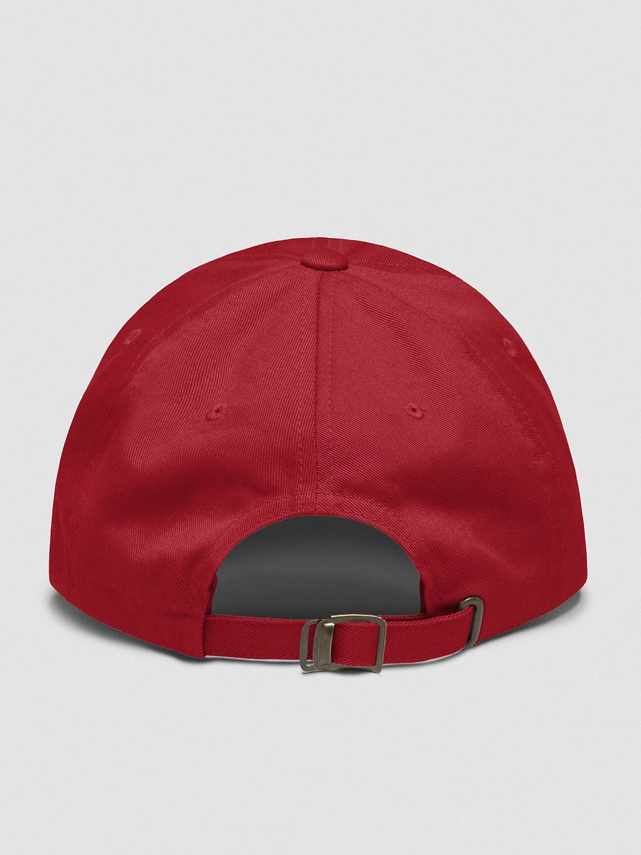 Global Warming ( Dad Hat ) product image (10)