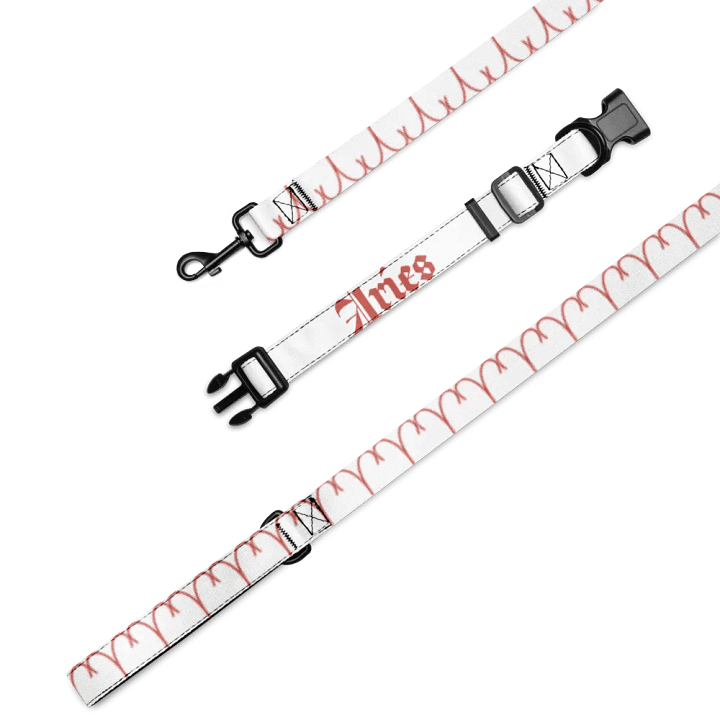 Aries Red Pet Collar & Leash Set product image (4)