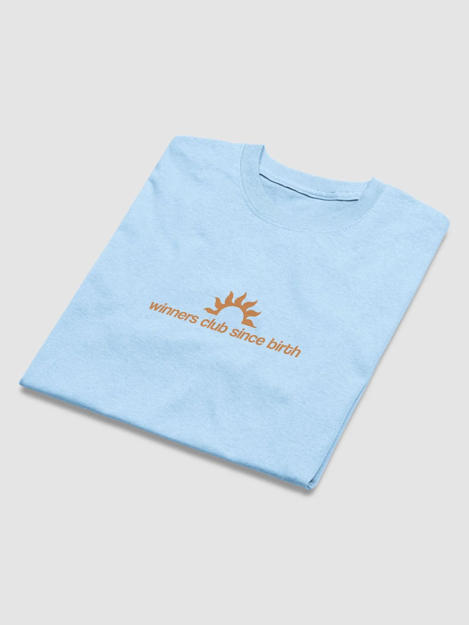 I Never Lose product image (4)