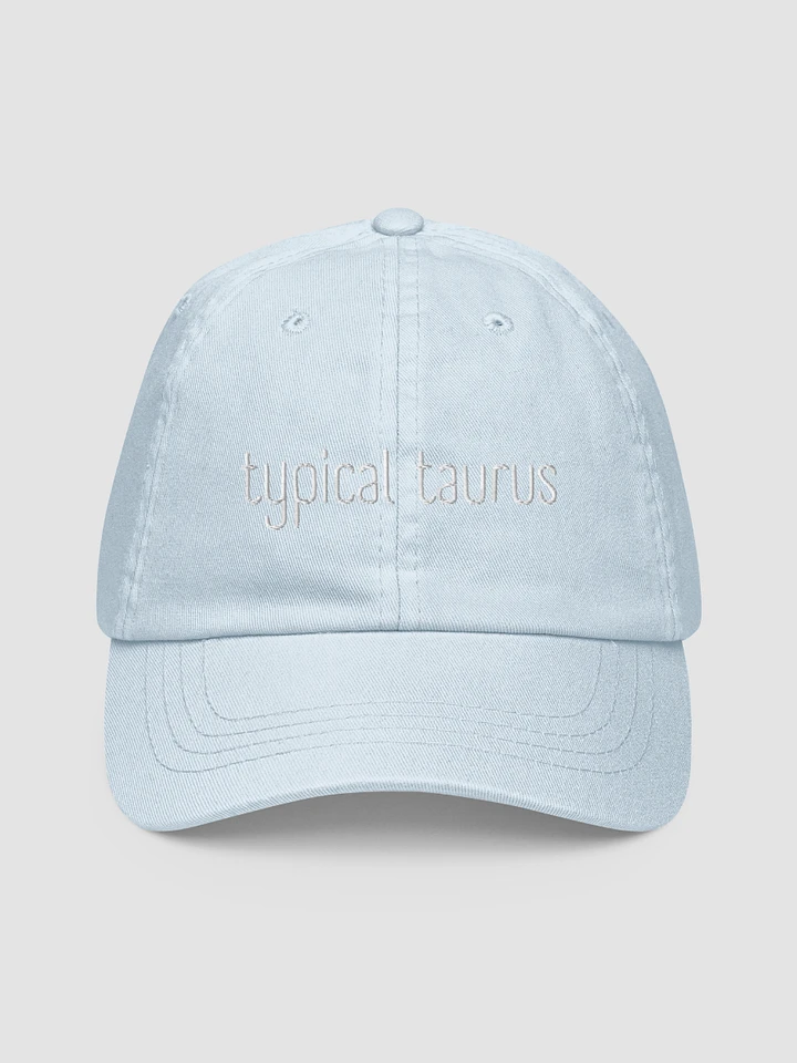 Typical Taurus White on Baby Blue Hat product image (1)