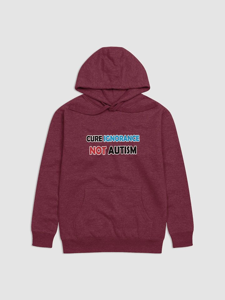 Cure Ignorance Not Autism Hoodie product image (2)