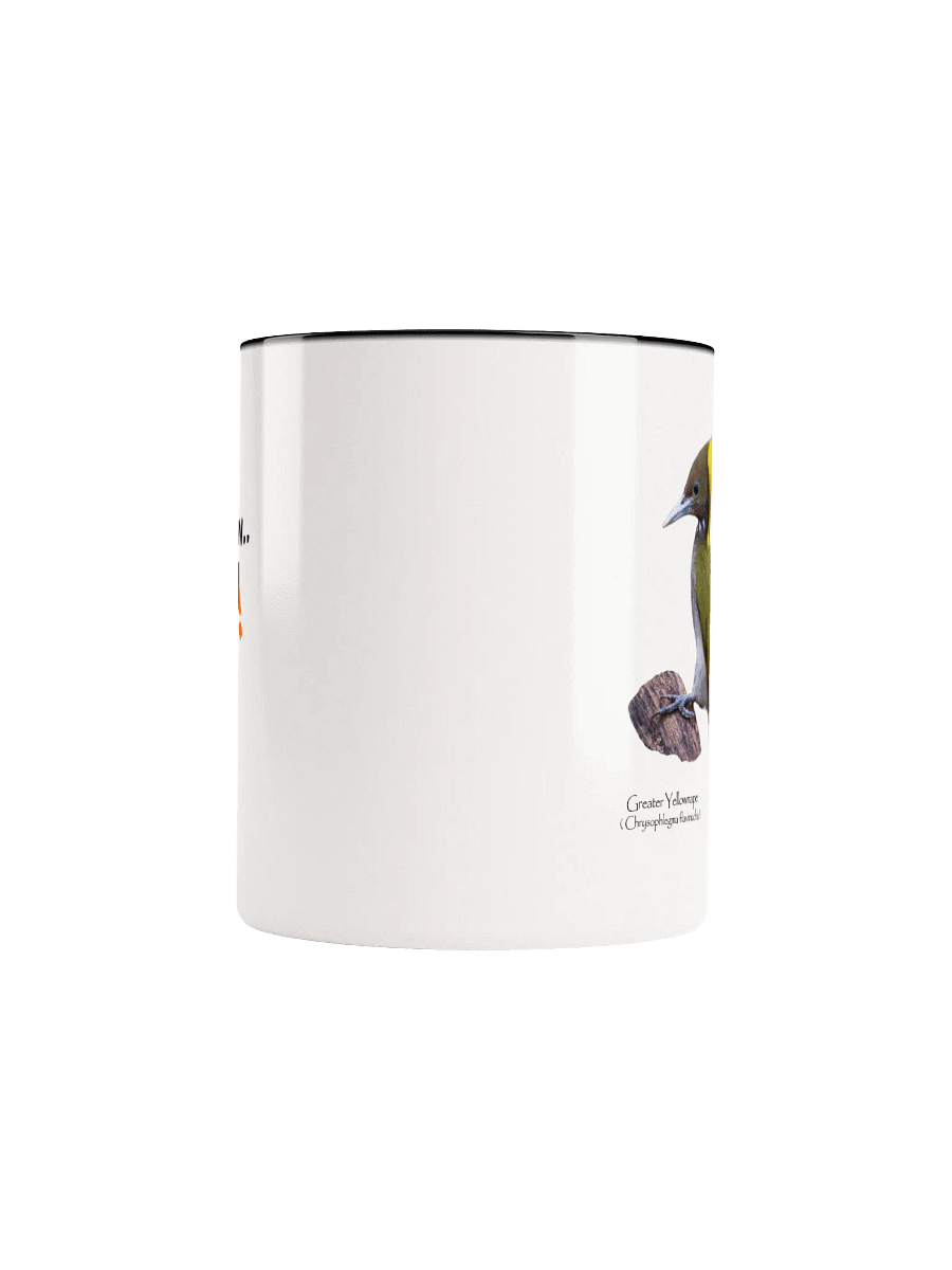 Greater Yellownape mug product image (42)