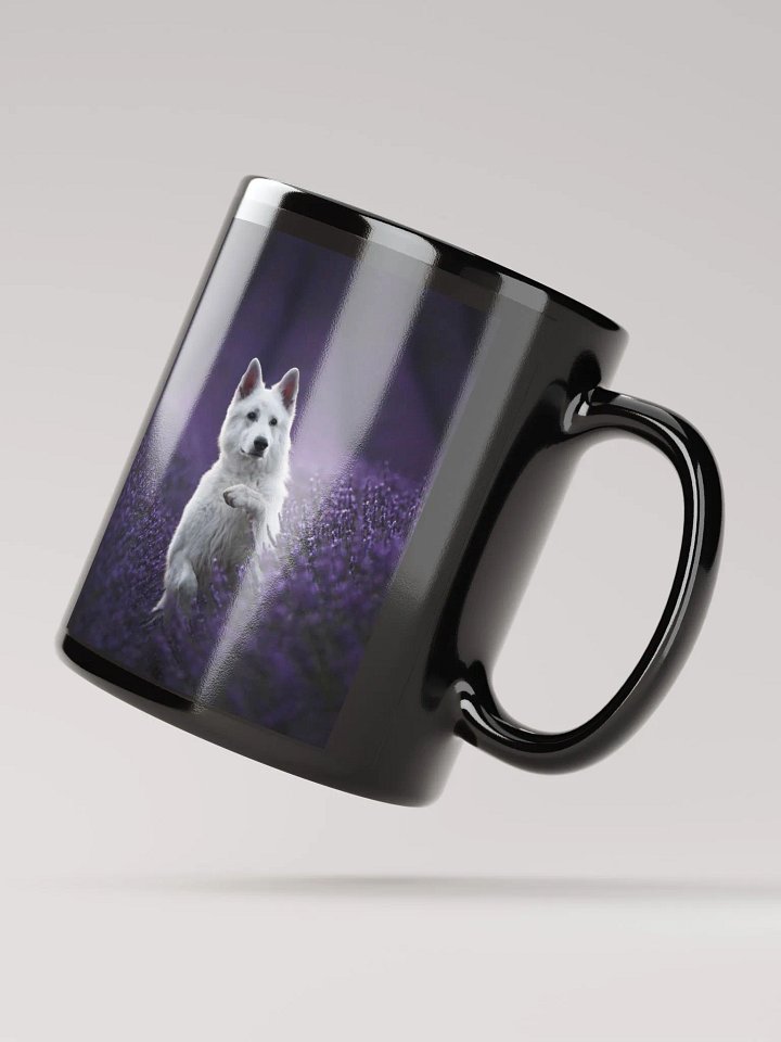 Rasta in the lavender fields in Valensole product image (4)