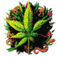 stoner girl emote pack product image (2)