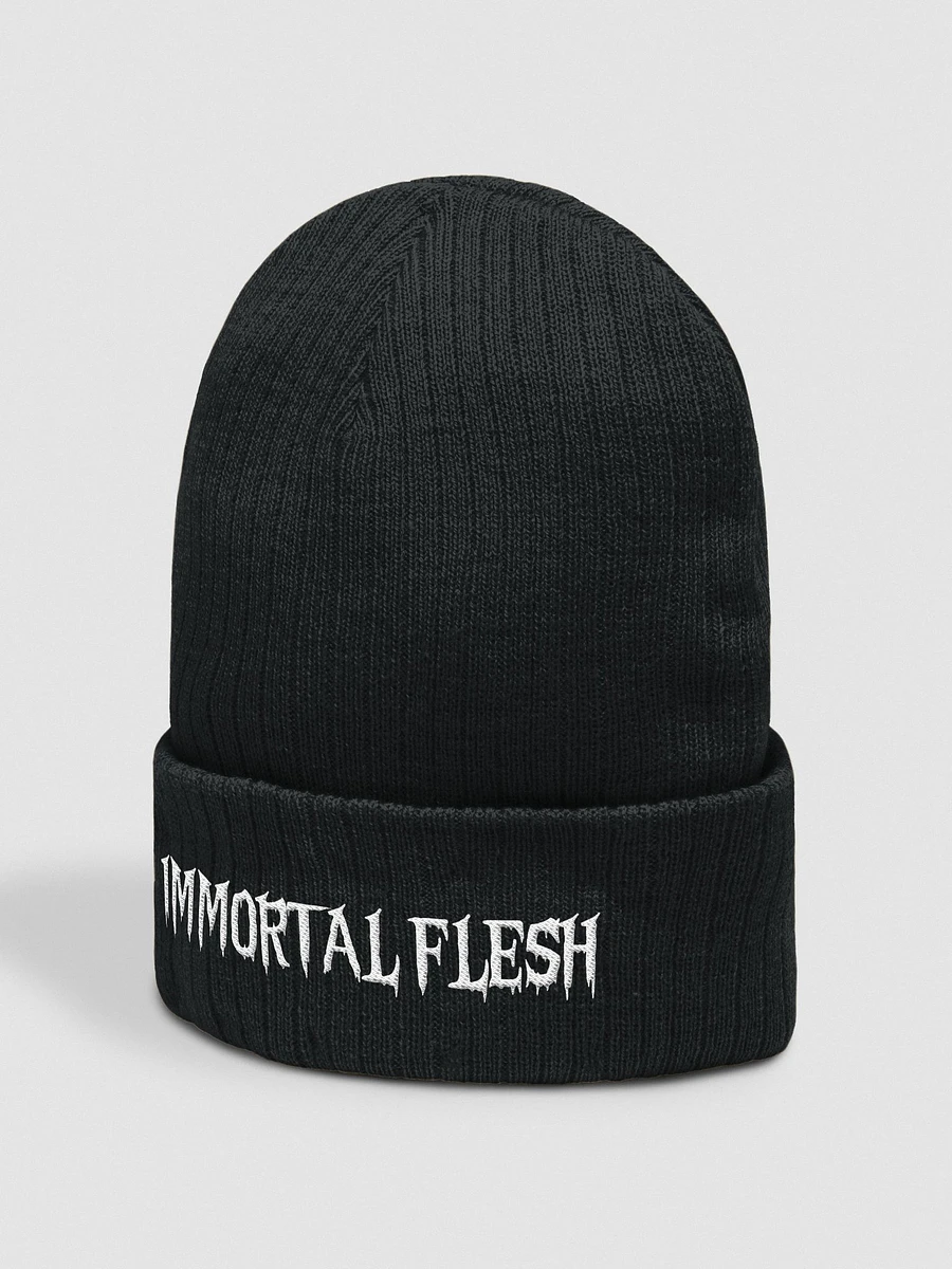 Immortal Flesh Script Ribbed Toque / Beanie product image (2)