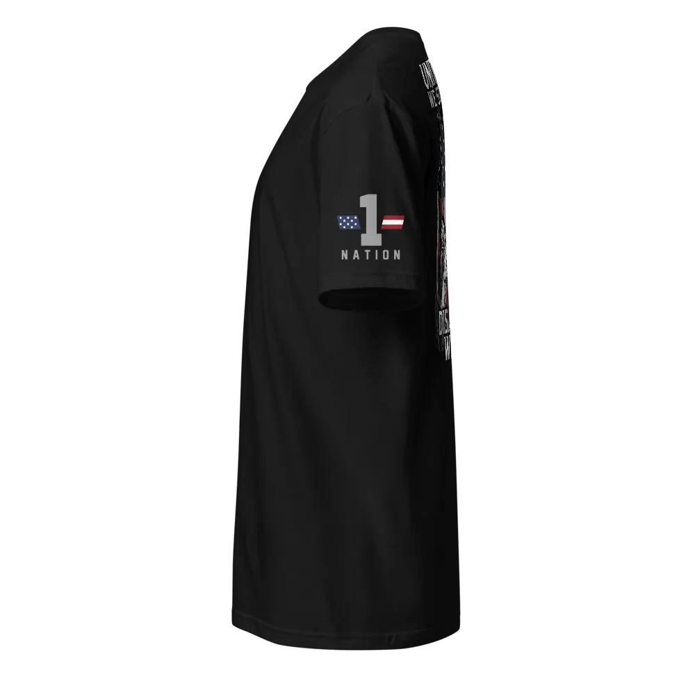 United We Stand. Disarmed We Fall product image (2)