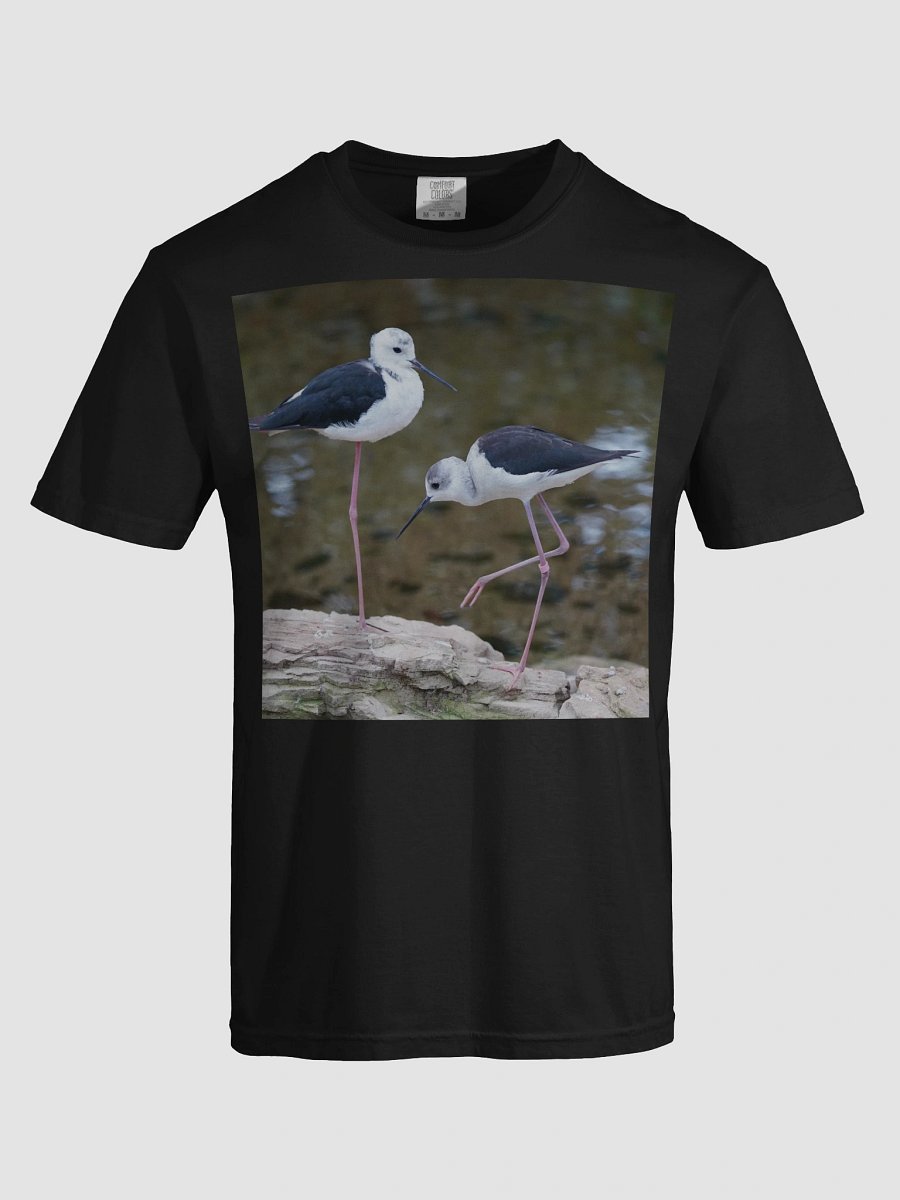 Mystic Shoreline T-Shirt product image (5)