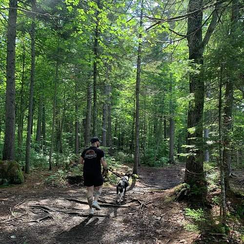 .
Beautiful view… swipe pour des ptits bonus ✨
.
.
Loki qui fait caca littéralement dans l’eau
Les trouvailles dans le bois 🤩