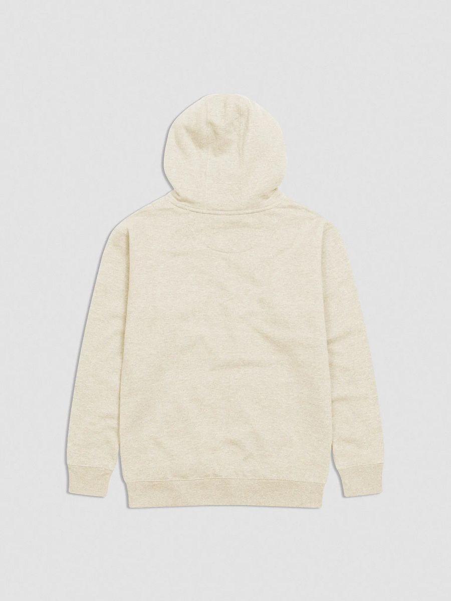 Embroidered Hoodie product image (7)