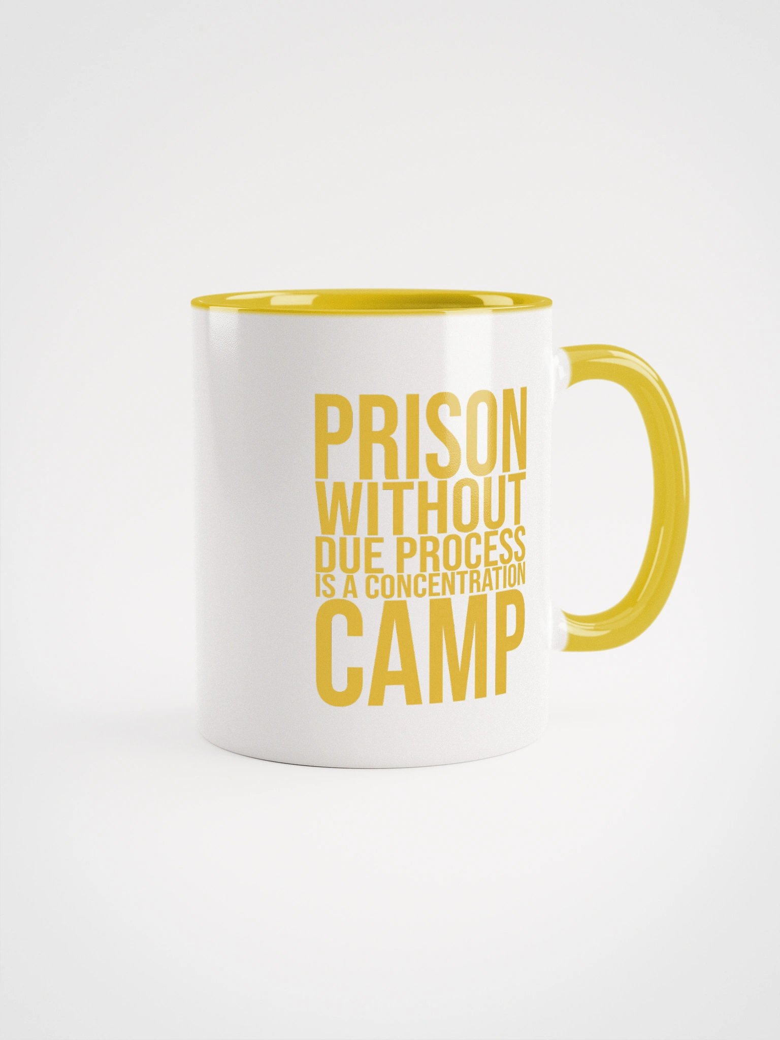 Due Process Concentration Camp Mug- Being Liberal product image (1)