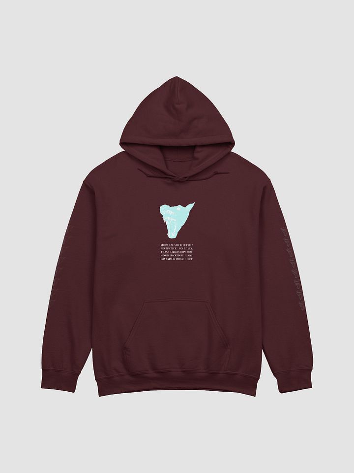 Show Em hoodie 1 product image (1)