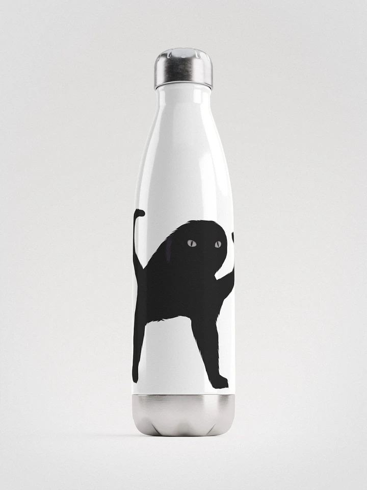 Cursed Water Bottle product image (1)