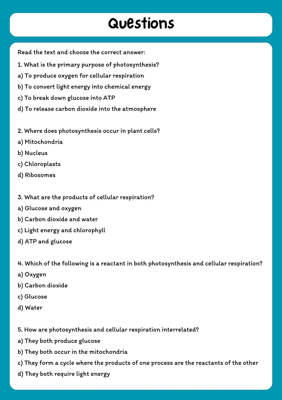 Photosynthesis and Cellular Respiration Reading Comprehension Passage with Questions product image (2)