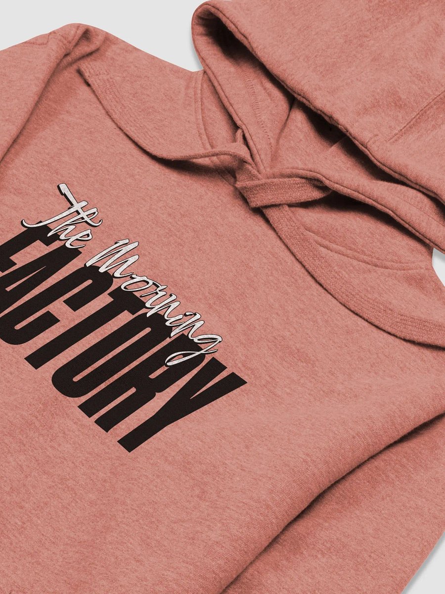 Big Fact -Unisex Premium Hoodie product image (11)
