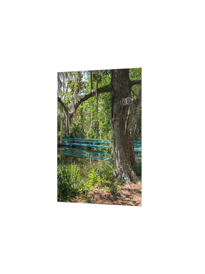 Magnolia's Green Bridge Poster product image (15)