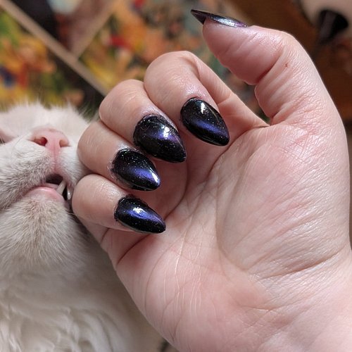 First time using ILNP After Hours and I'm so in love. Bonus, needy Kya wanting attention. #ilnp #ilnpafterhours