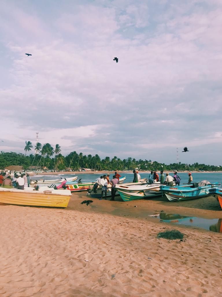 Sri Lanka Beach product image (3)