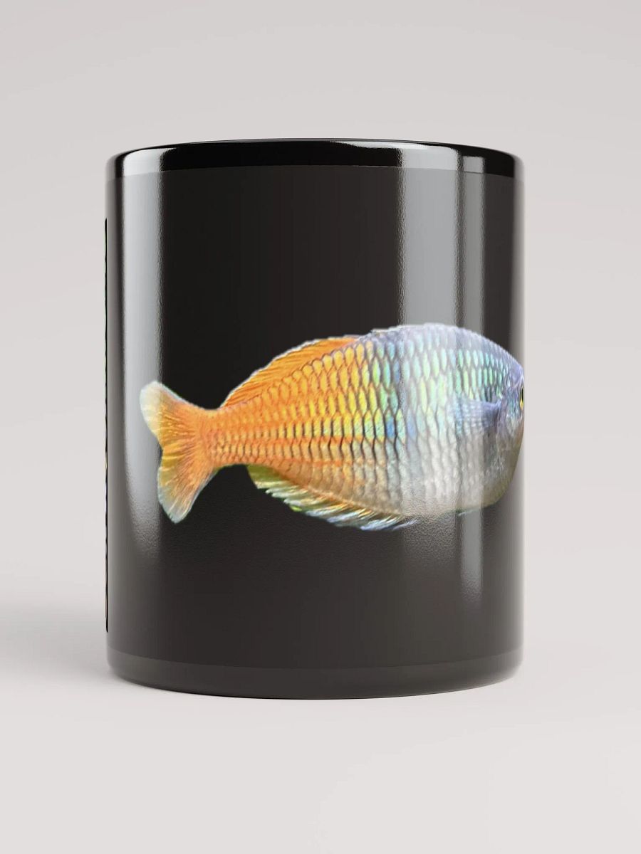BGN Aquariums Tea/Coffee Mug Boesemani product image (5)