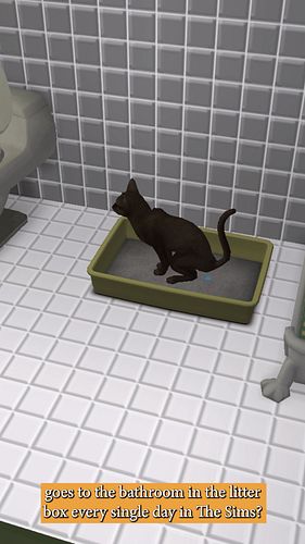 YOU CAN POTTY TRAIN YOUR CAT IN THE SIMS 2! #sims2 #thesims2 @thesims