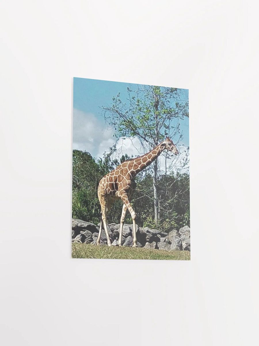 Giraffe product image (29)