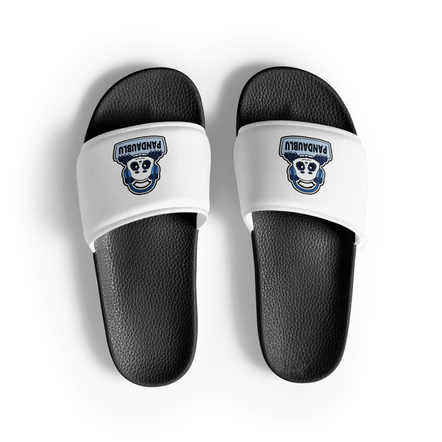 slides product image (1)