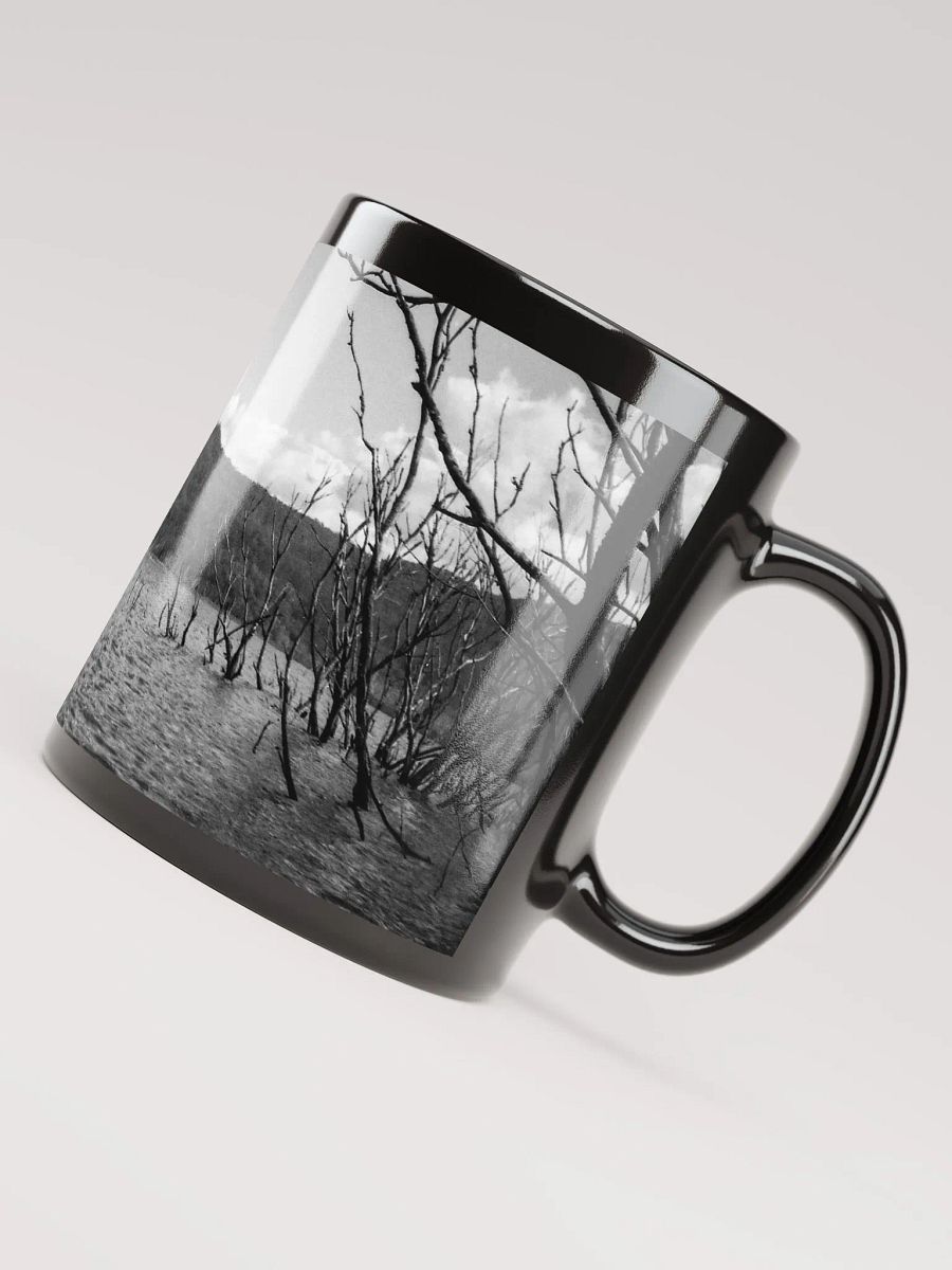 Advancetown Lake product image (4)