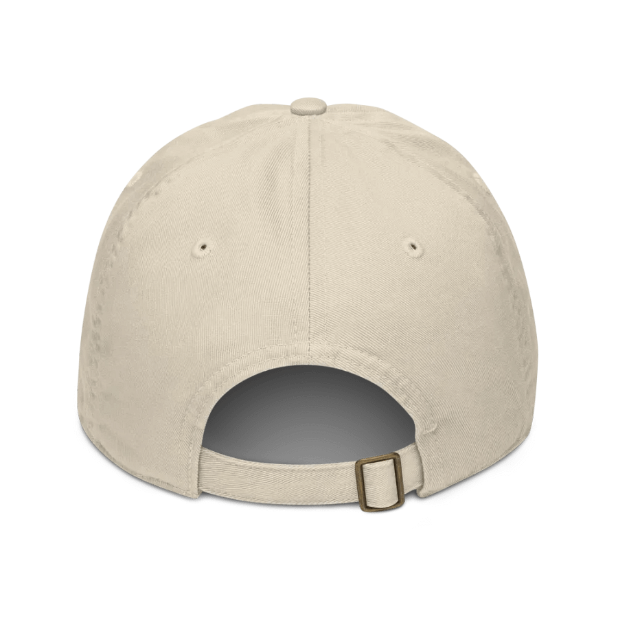 CS Hat product image (2)
