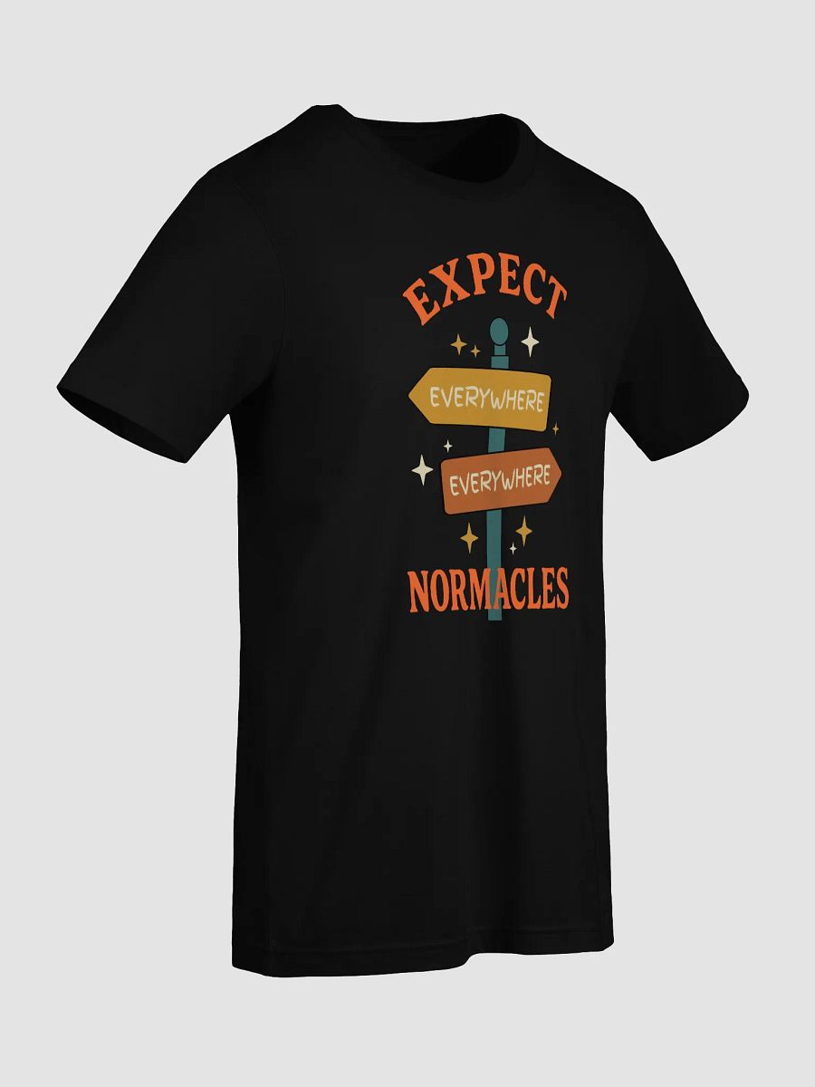 Expect Normacles Everywhere Tee product image (7)