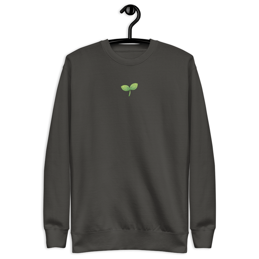 Sprout Embroidered Comfy Sweatshirt product image (3)