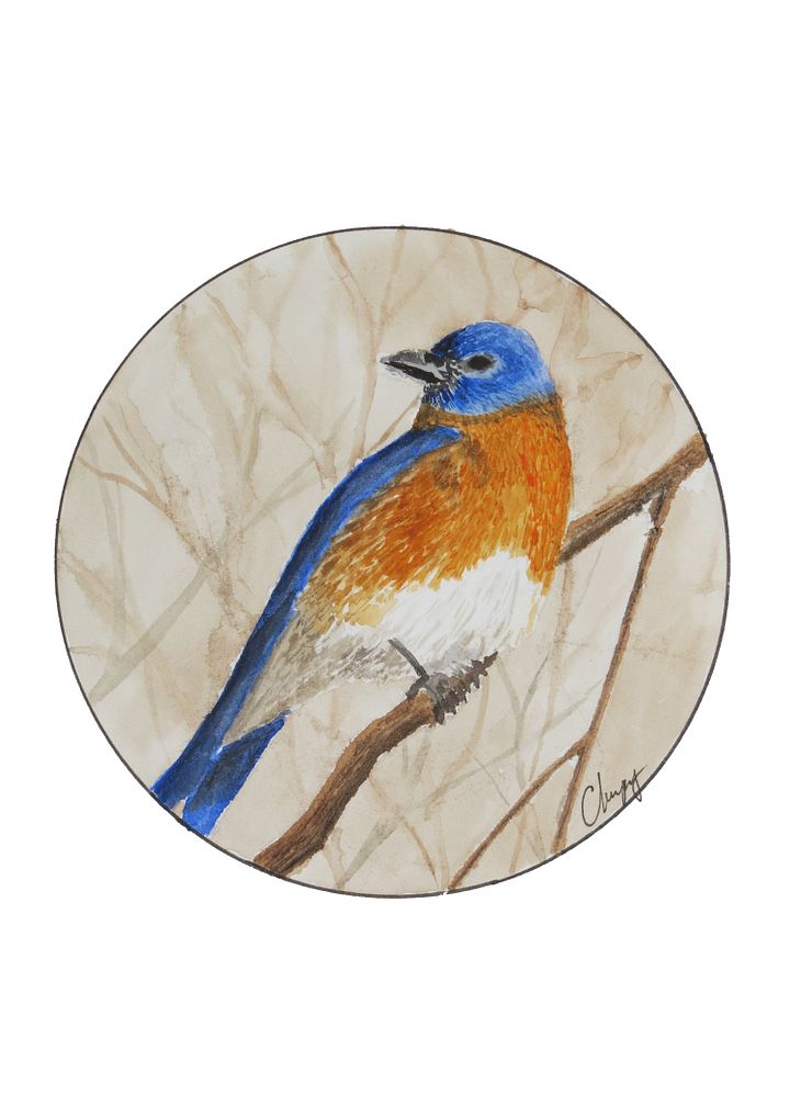 Eastern Bluebird - Original Watercolor Painting product image (2)