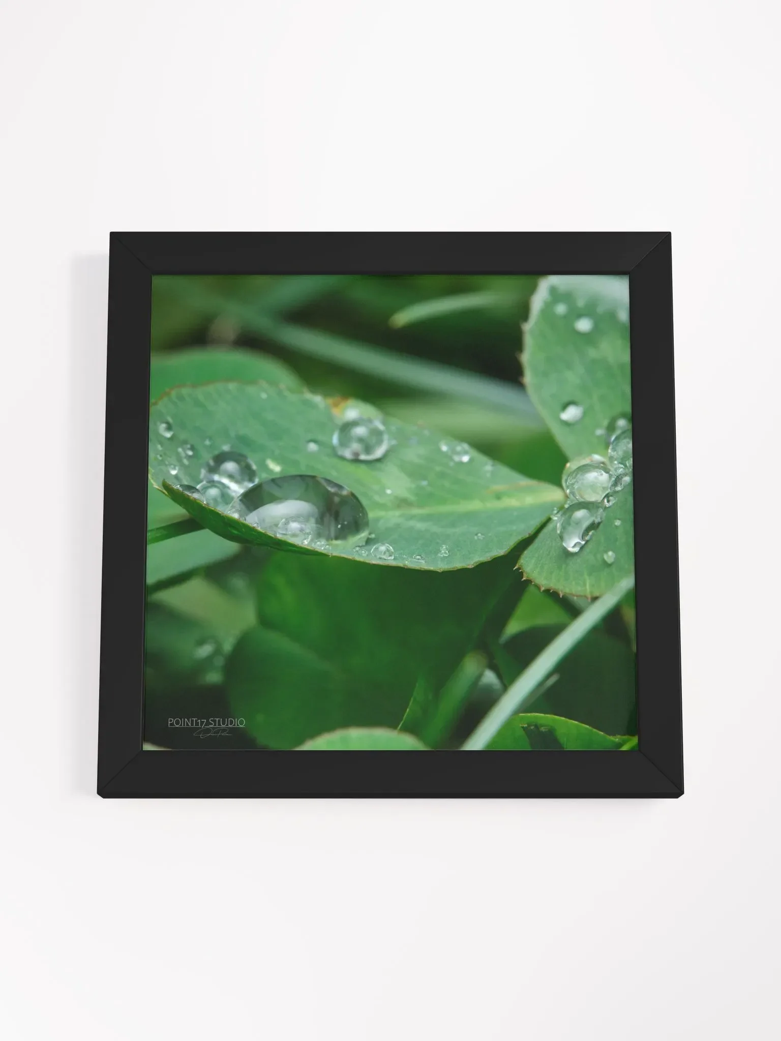 Dew Gems #8 - Framed Print product image (4)