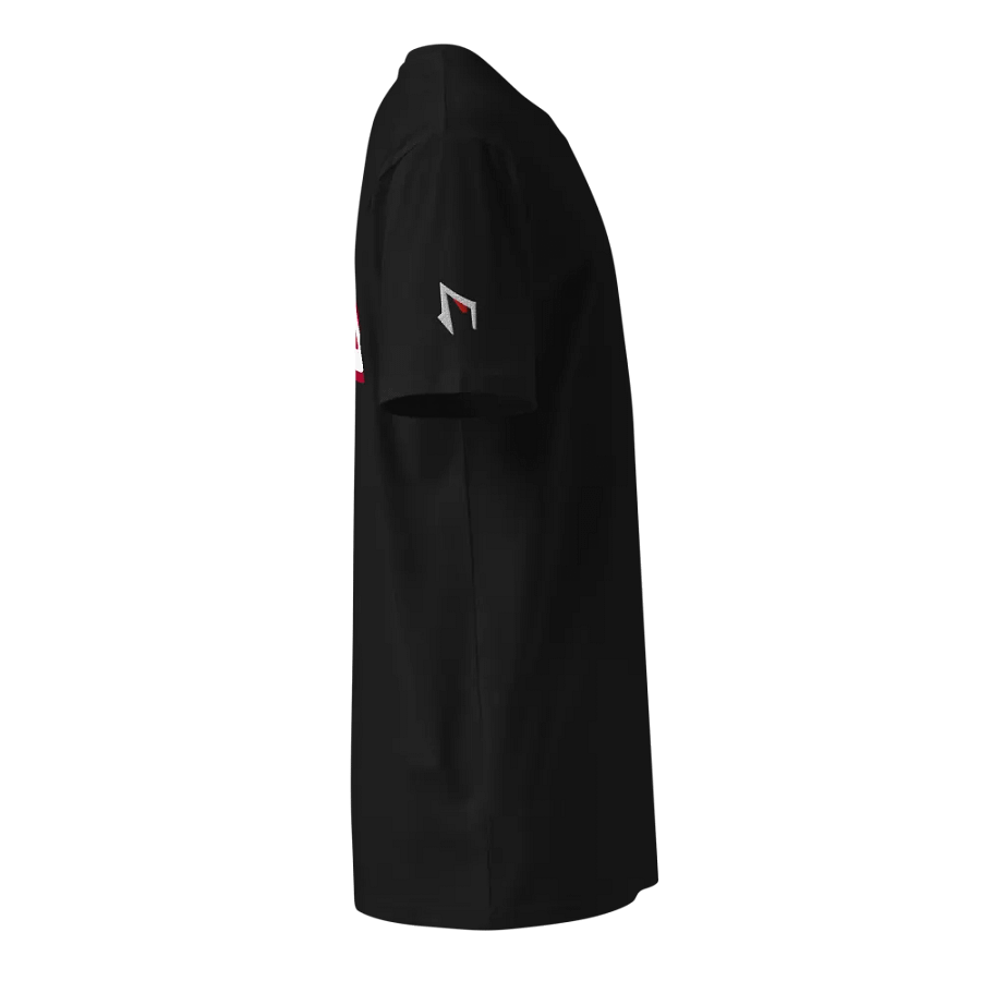 LIMITED EDITION BLUGHOST CDL TEAM SHIRT product image (4)
