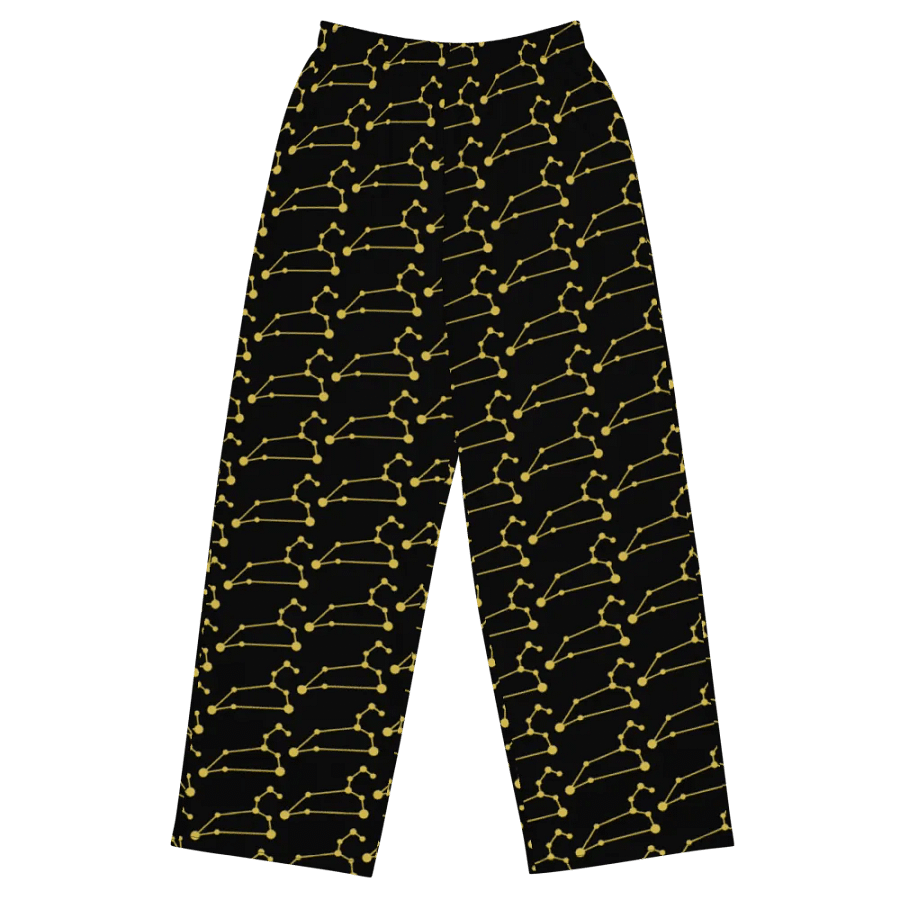 HexaChic Leo Unisex Pants product image (1)