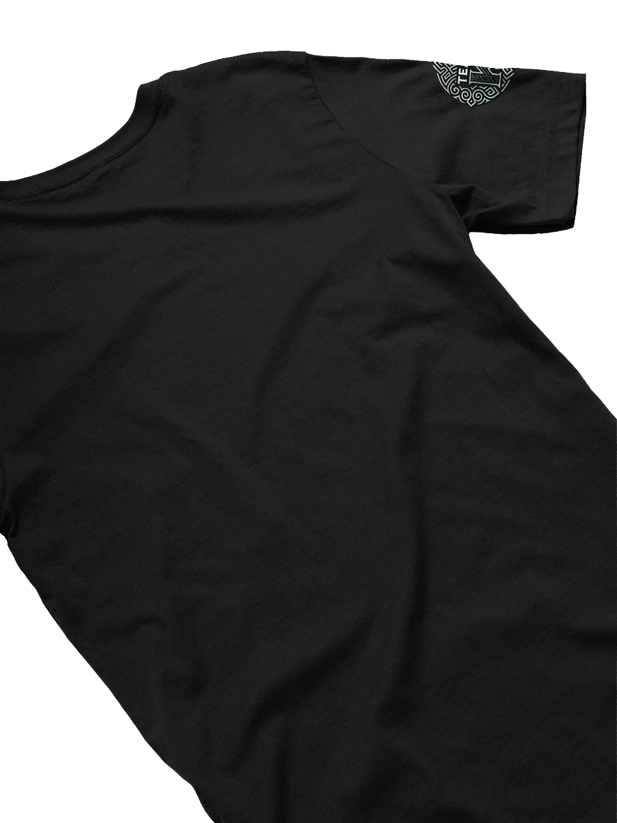 Team K (V-10) T-Shirt product image (4)
