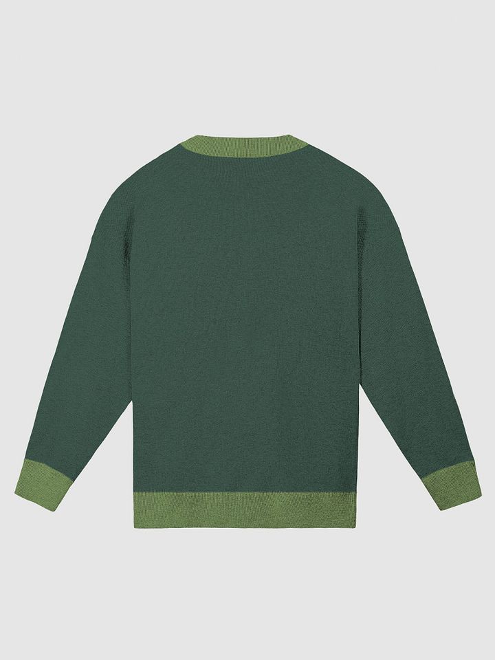 BUSY-BRAINED (green) knitwear crewneck product image (7)