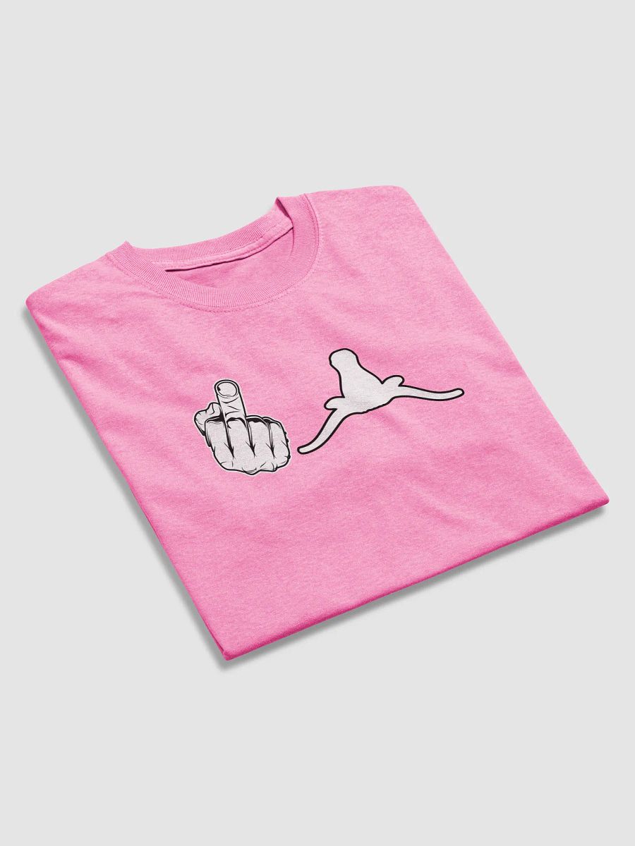 'F^$# Texas' Unisex Tee product image (44)