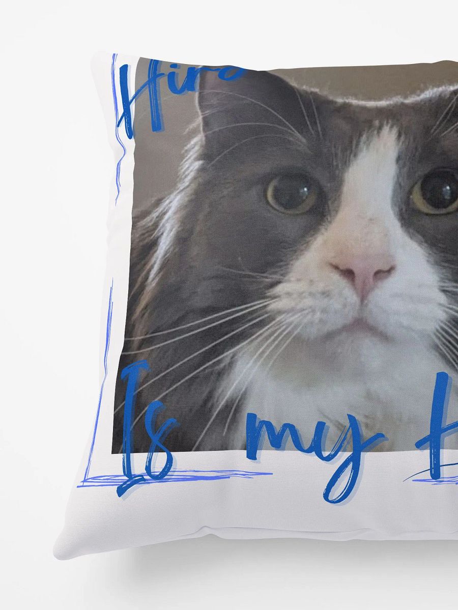 Hiro is My Hero Pillow product image (3)
