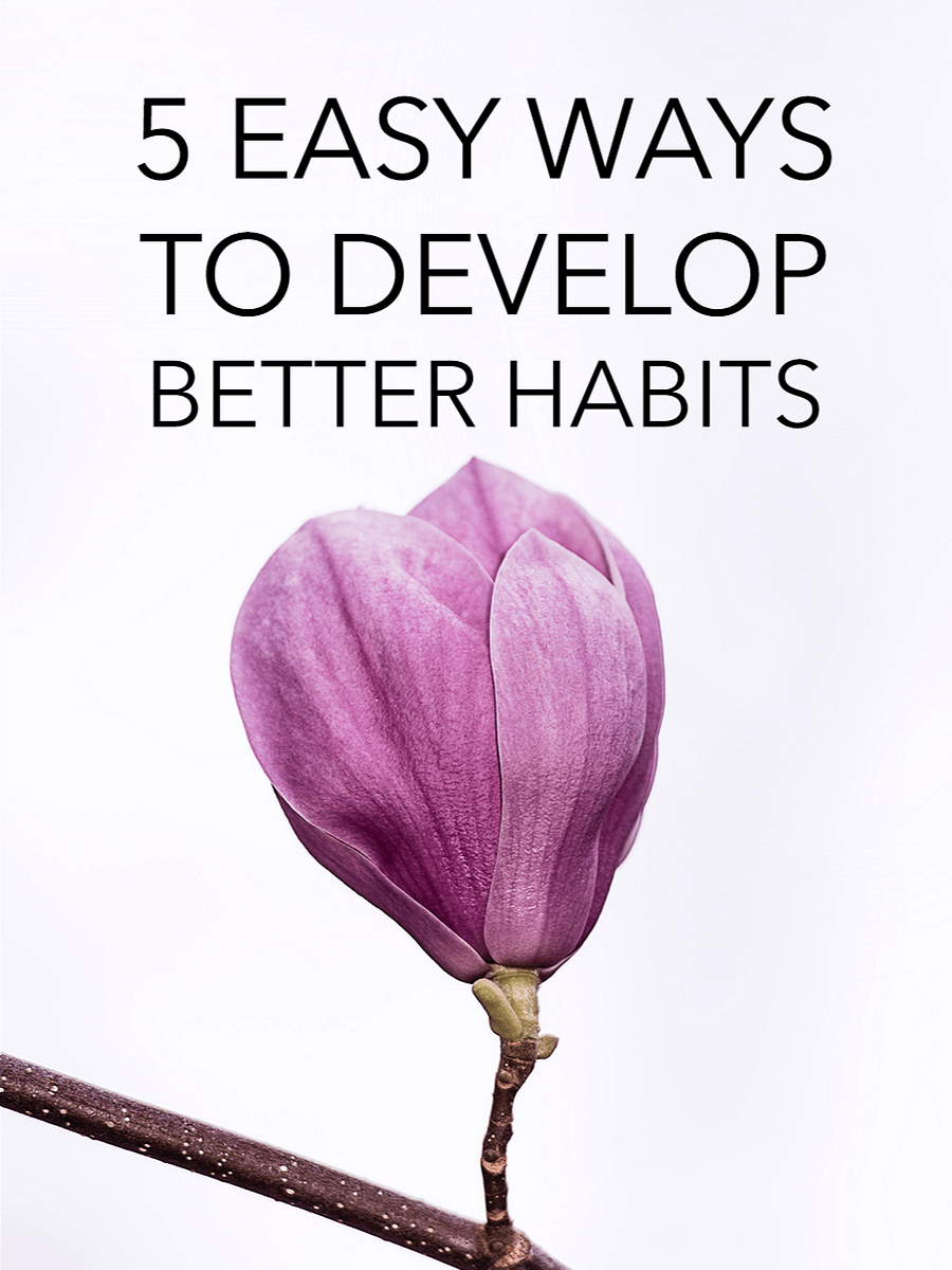5 Easy Ways To Develop Better Habits product image (1)