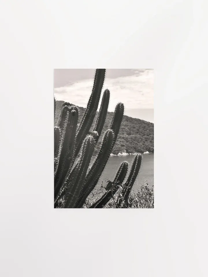 Mexico Lindo - Enhanced Matte Paper Poster product image (1)