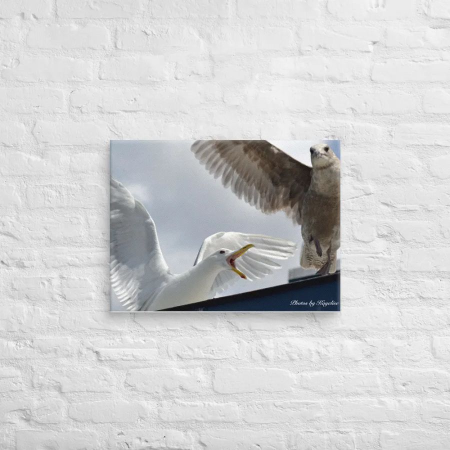 Seagull's Fighting product image (12)