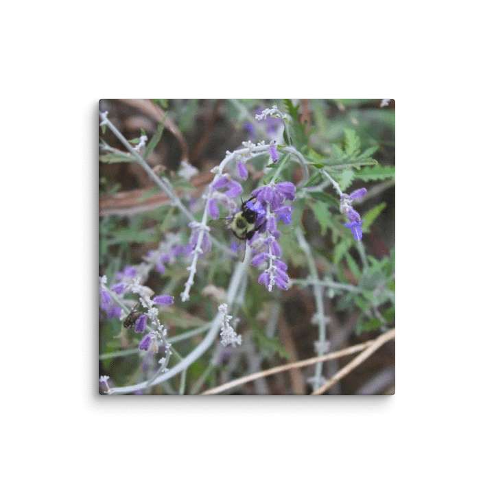 A Study in Flowers 4 product image (39)