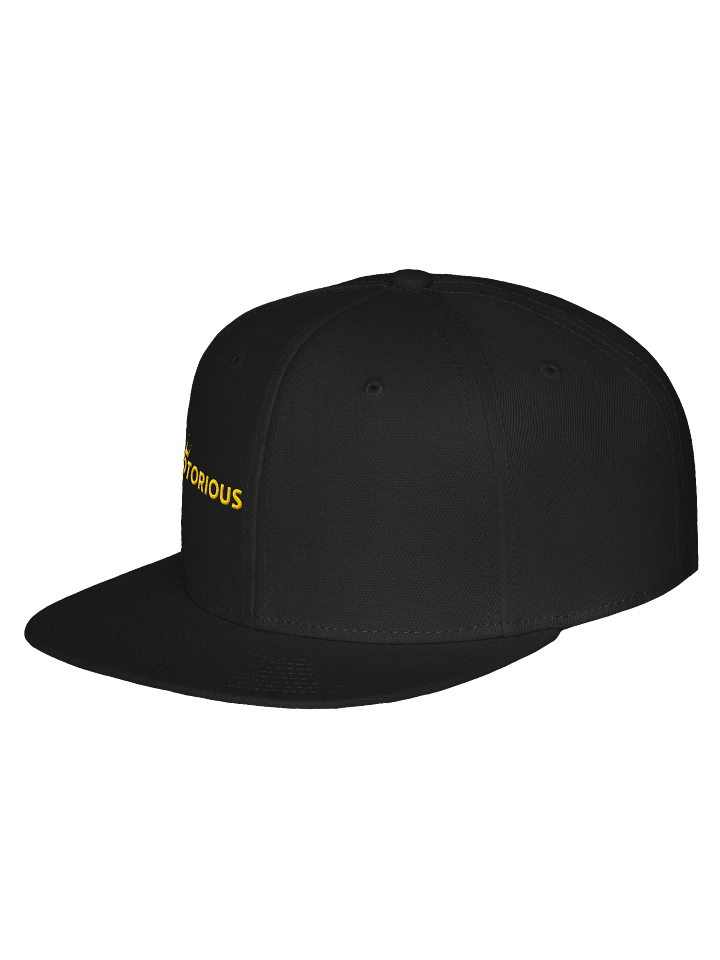 Notorious Flatback product image (26)