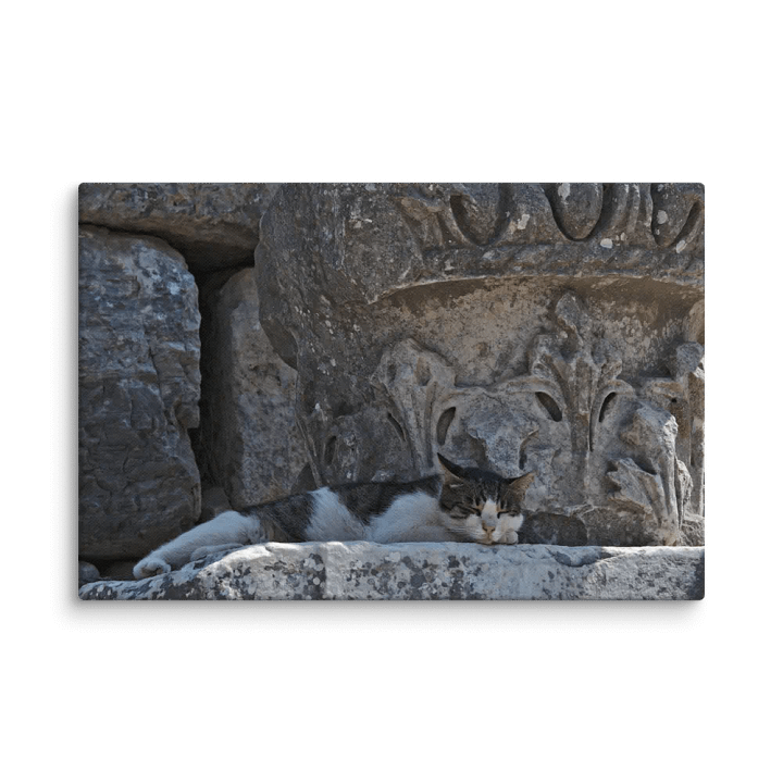 Sleeping Cat (Canvas) product image (2)