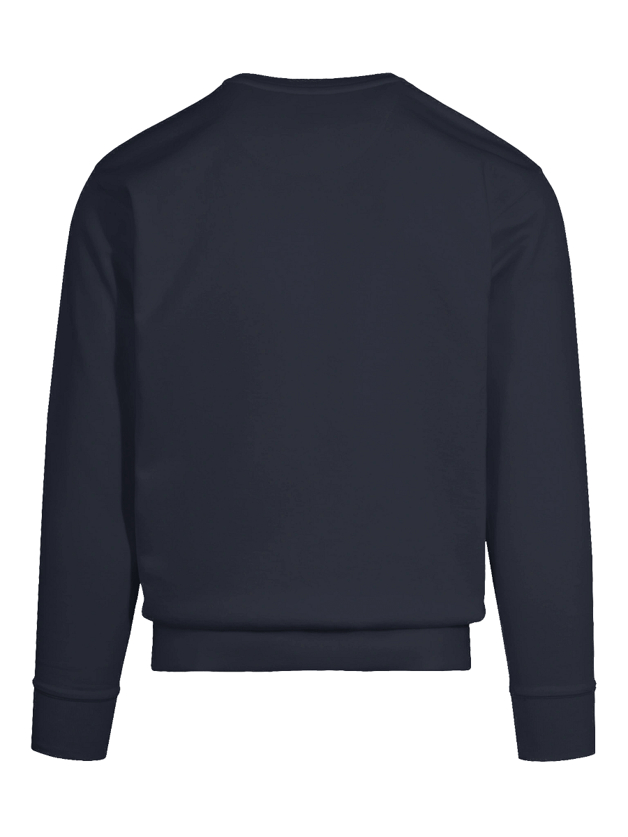 Flight of the Cinnamon Hummingbird Premium Sweatshirt product image (11)