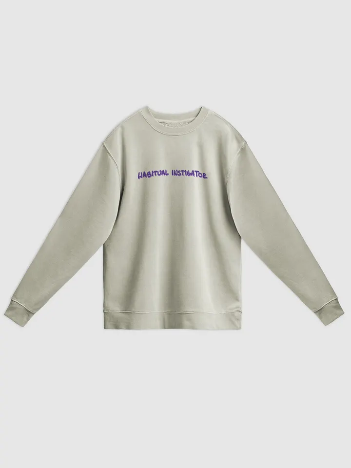 HABITUAL INSTIGATOR (berry long-line design) printed pigment crewneck product image (3)